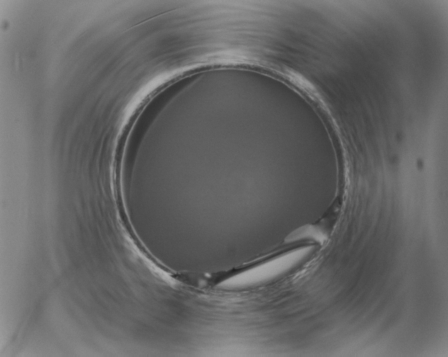 X0000054171334200508101750.png
