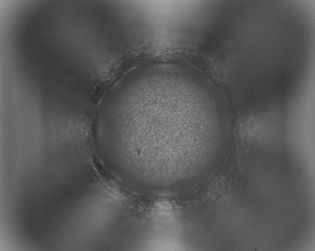 X0000052280757200507132028.png