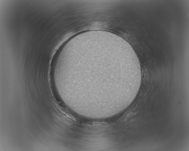 X0000055250292200509071623.png