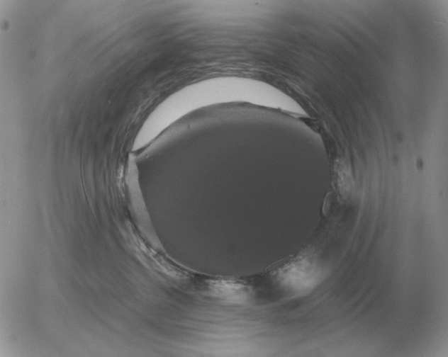 X0000054170380200508101806.png