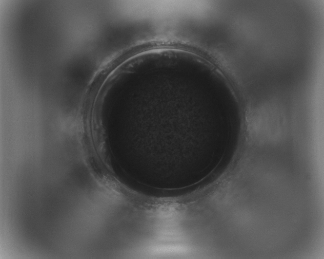 X0000054730488200508171856.png