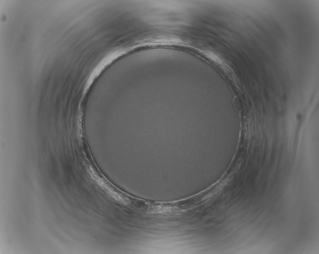 X0000054171374200508101749.png