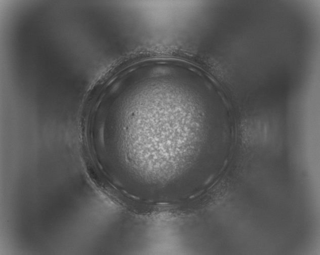 X0000052280634200507132029.png