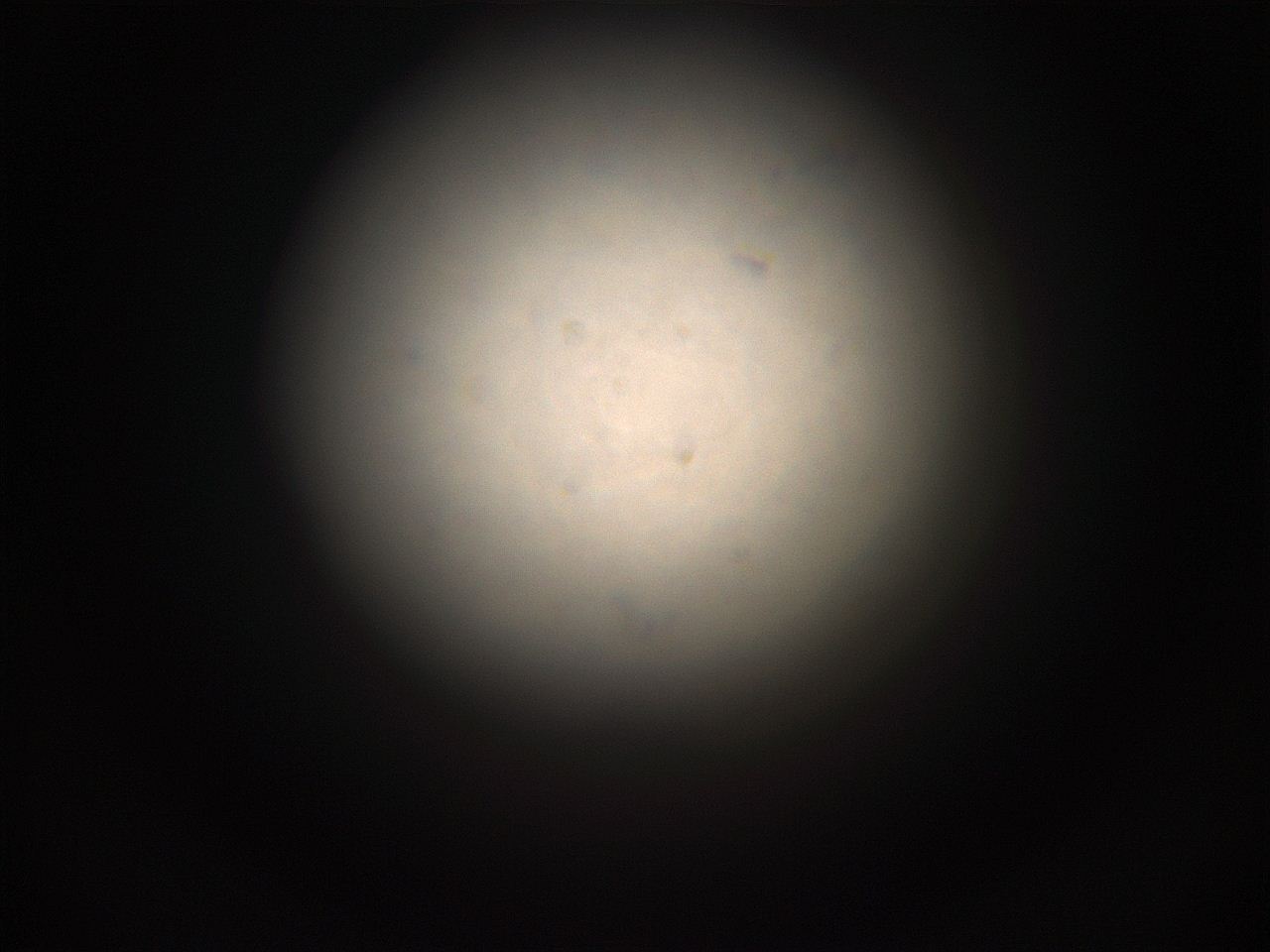 05g4_P1_ImagerDefaults_1.jpg