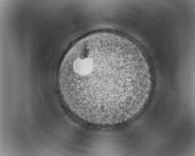 X0000053460162200508112206.png