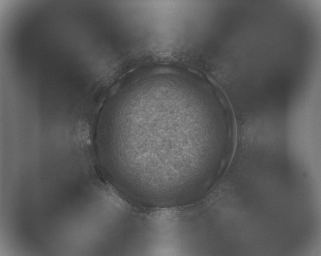 X0000052280081200507132040.png