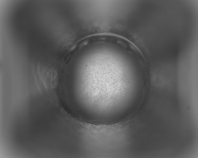 X0000054110026200508022111.png