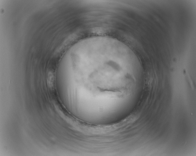 X0000054650036200508091653.png