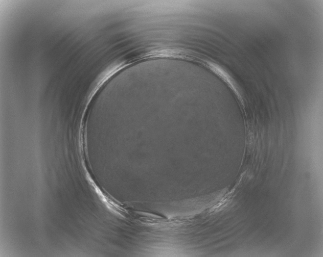 X0000054351050200508190123.png