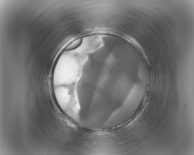 X0000054351190200508190120.png