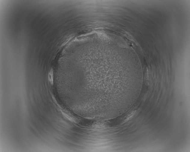X0000055060076200508161657.png
