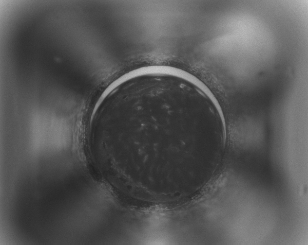 X0000045390071200501241413.png