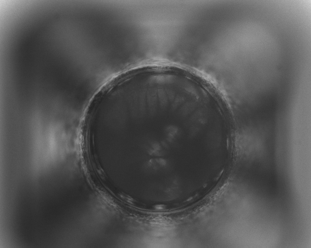 X0000045391318200501241352.png