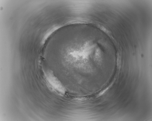 X0000055071453200508232316.png
