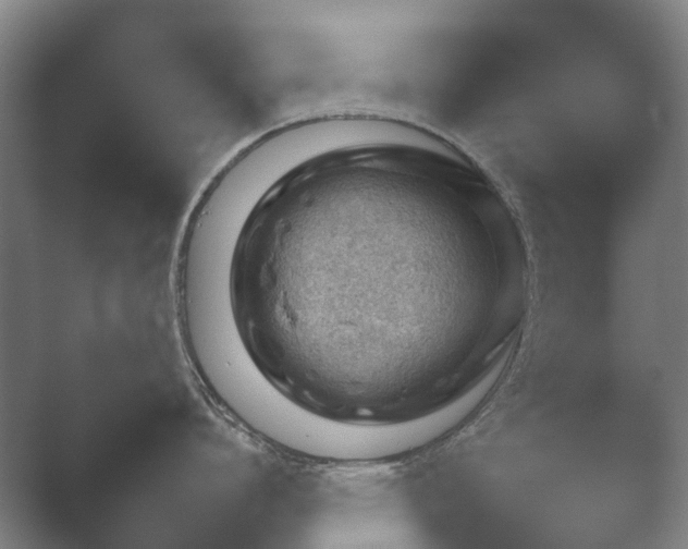 X0000052280864200507132027.png