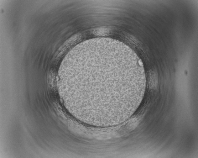 X0000054580044200508300112.png