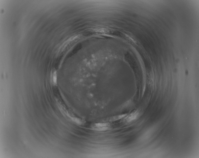X0000054170095200508101811.png