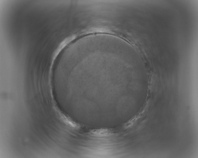 X0000054350104200508190138.png