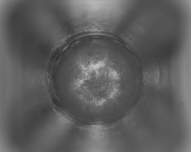 X0000052150302200507051958.png