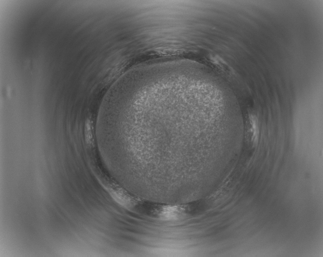 X0000054300130200508042320.png