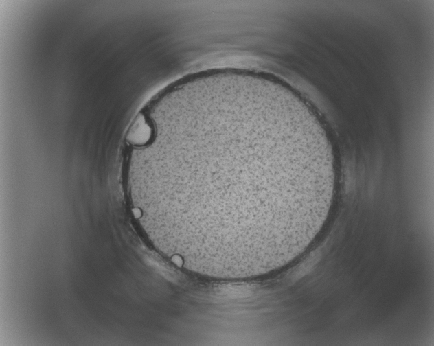 X0000053460830200508112155.png