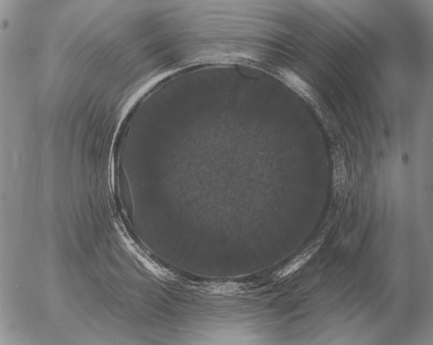X0000054170940200508101756.png