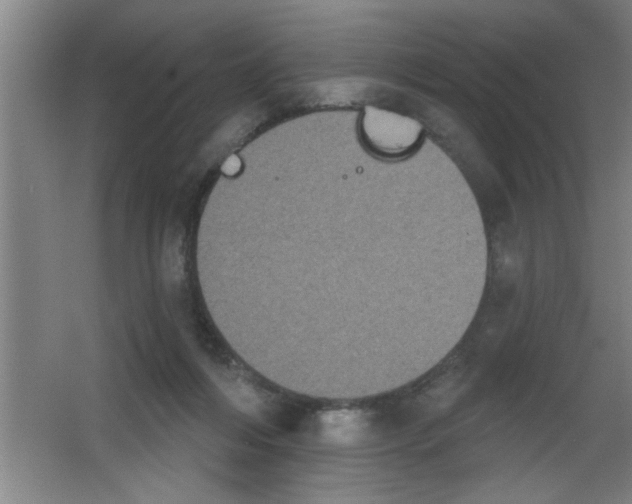 X0000053460216200508112206.png