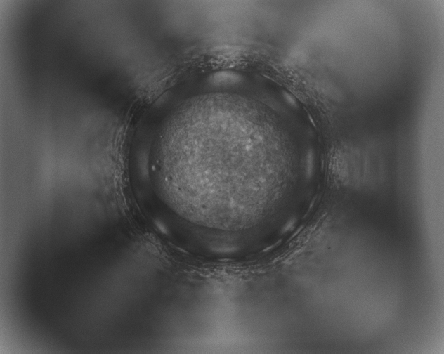 X0000048530868200503171508.png