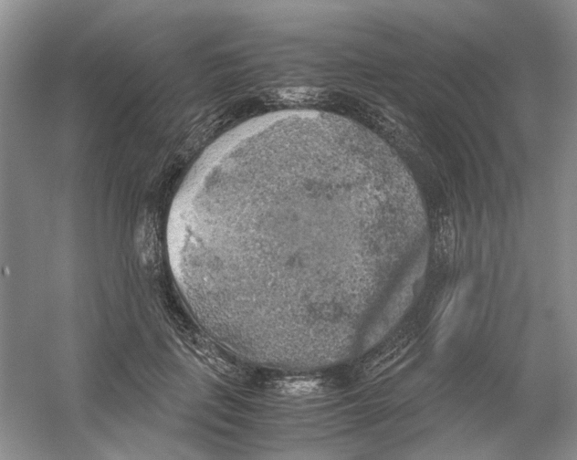 X0000054270651200508261917.png