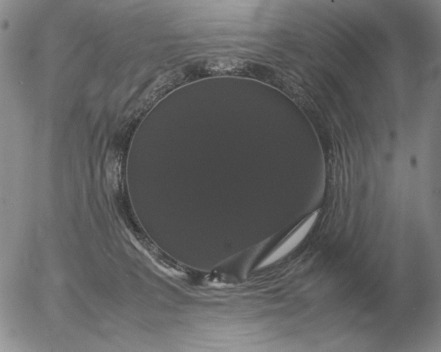 X0000054170227200508101808.png