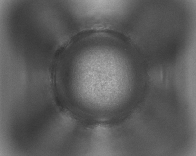 X0000054110303200508022106.png