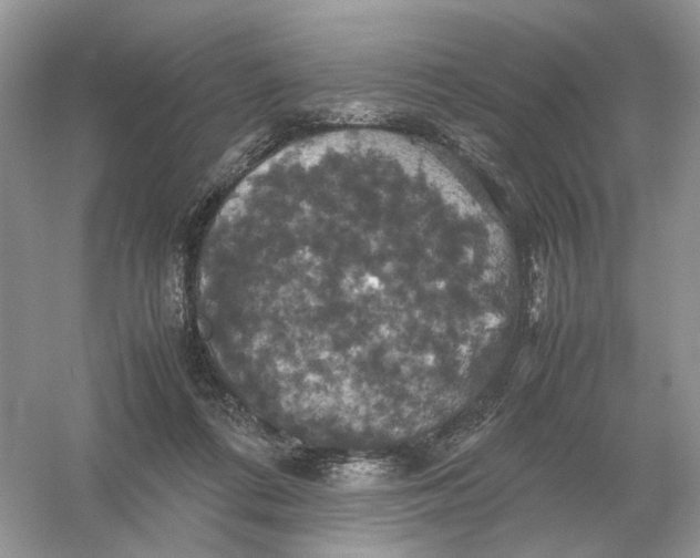 X0000054350312200508190135.png