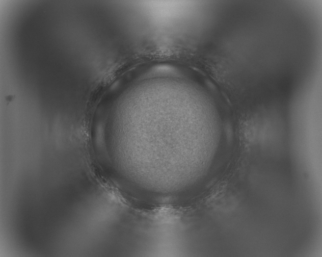 X0000052280326200507132035.png