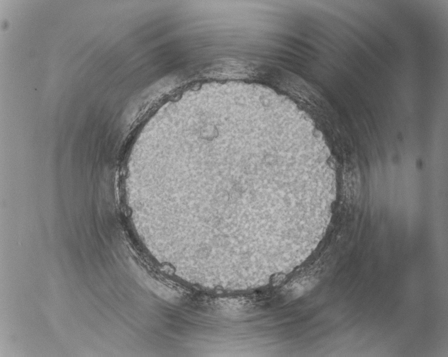 X0000054580302200508300107.png