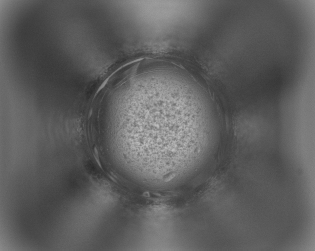 X0000054970360200509051510.png