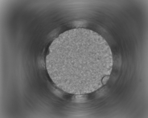 X0000053460622200508112159.png