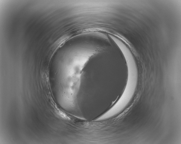 X0000054350809200508190126.png
