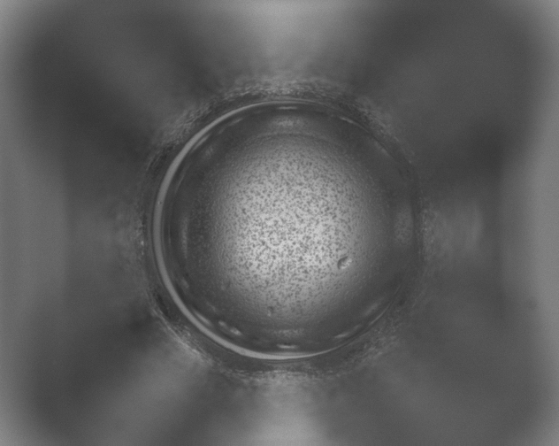 X0000052280633200507132029.png