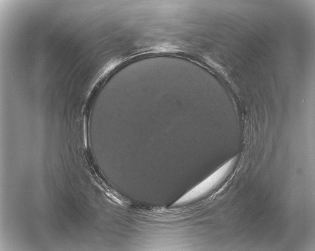 X0000054351171200508190120.png