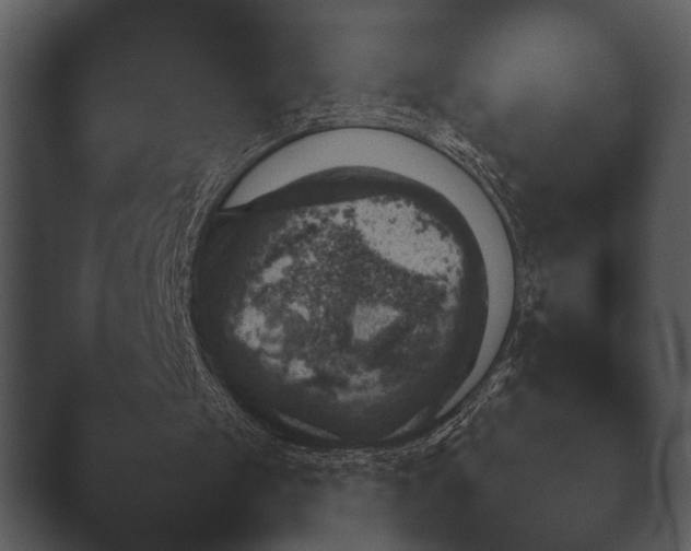 X0000044230049200501101648.png