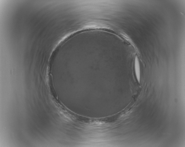 X0000054350387200508190134.png