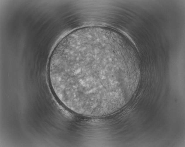 X0000055251379200509071604.png