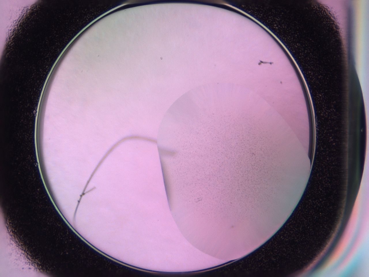 01gi_E1_ImagerDefaults_0.jpg
