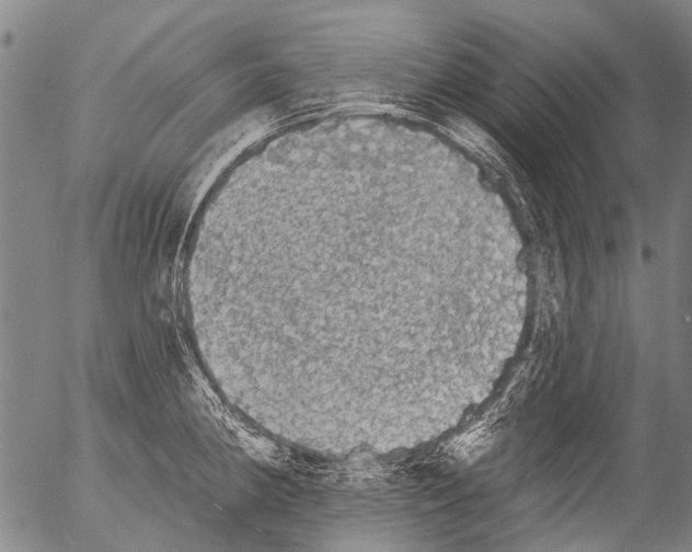 X0000054581190200508300052.png