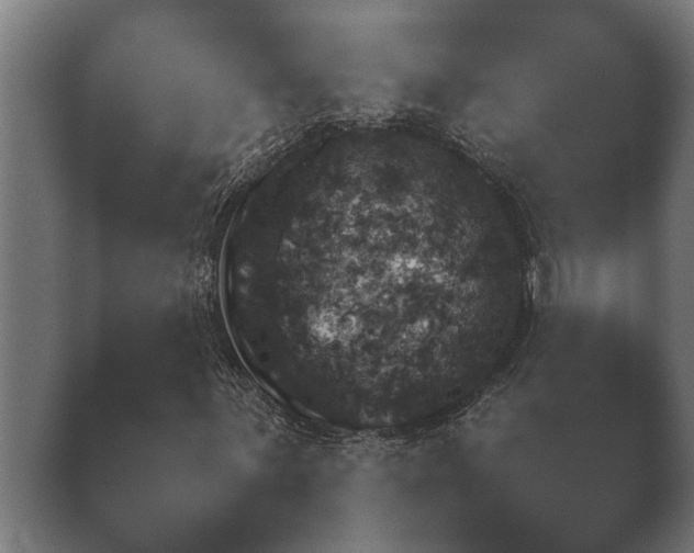 X0000039761059200409281020.png