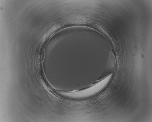 X0000054170677200508101800.png