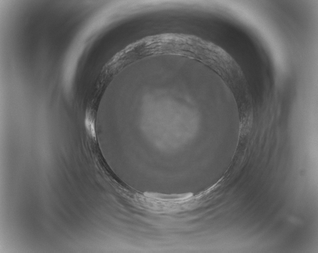 X0000055060047200508161657.png
