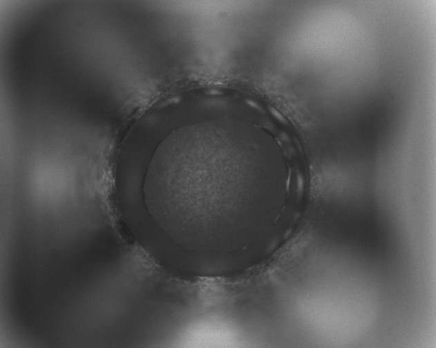 X0000045450767200502011656.png