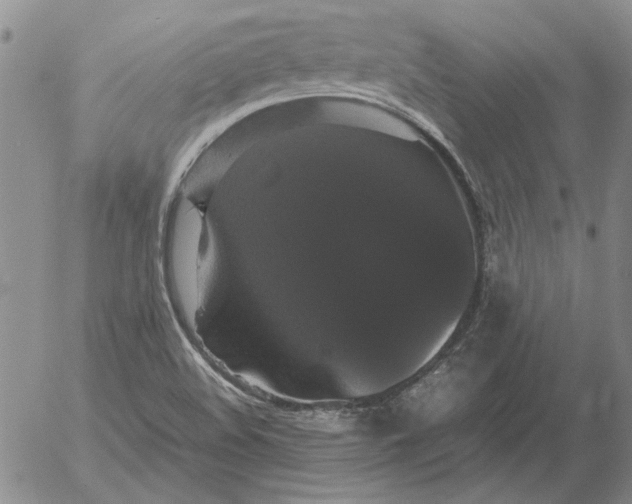 X0000054171508200508101746.png