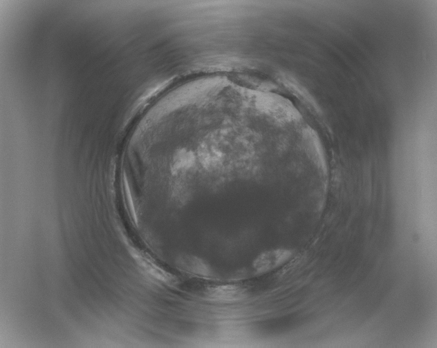 X0000054350058200508190139.png